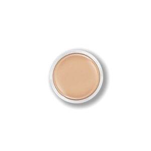 Camouflage Concealer