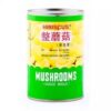 Hibiscus Mushrooms Choice Whole can 425gm (China)